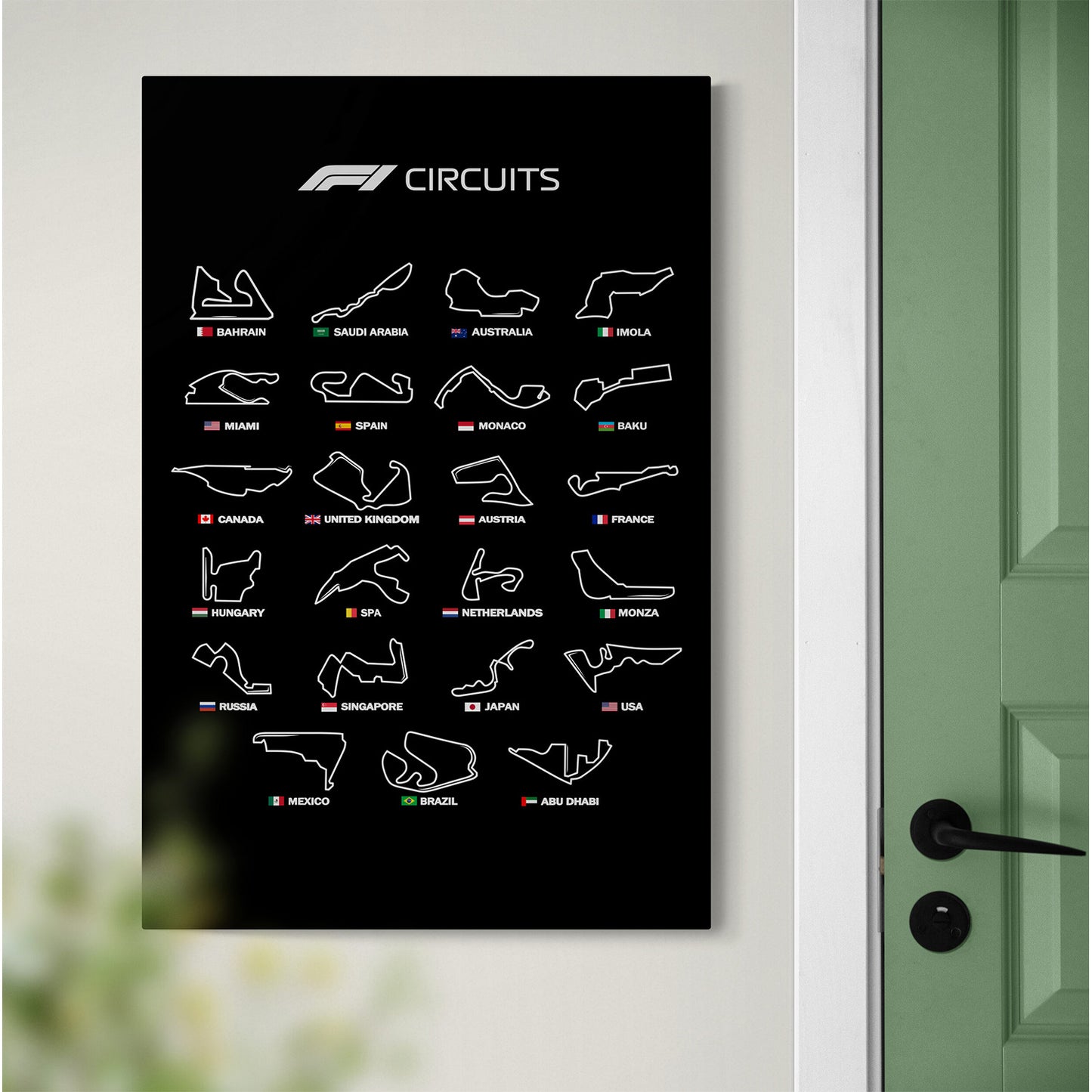 F1 circuits