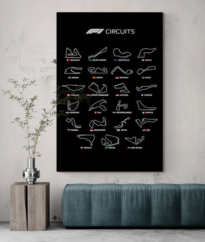 F1 circuits